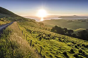 Sunset over grassland and a country road, Dunedin Beach at the back, Otago Peninsula, South Island, New Zealand Sunset over grassland and a country road, Dunedin Beach at the back, Otago Peninsula, South Island, New Zealand