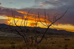 Sunset at Painted Hills with Petrified Tree Sunset at Painted Hills with Petrified Tree