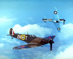 Pop art Collection: Supermarine Spitfire