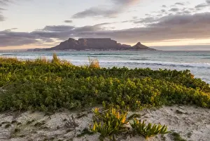 Table Mountain Panorama Prints: Table Mountain, Lions Head and Devils Peak in the evening light