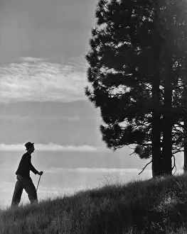 Silhouette Photography Techniques Prints: Taking A Walk