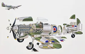 Tempest Mk II, Royal Air Force (RAF) fighter aircraft of World War II, expanded cross-section Tempest Mk II, Royal Air Force (RAF) fighter aircraft of World War II, expanded cross-section