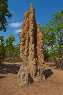 Termite mound in the Litchfield National Park, Northern Territories, Australia Termite mound in the Litchfield National Park, Northern Territories, Australia