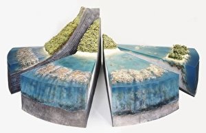 Three-dimensional segmented model of coral reef and surrounding landscape Three-dimensional segmented model of coral reef and surrounding landscape