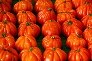 Tomatoes on a market, French Riviera, France, Europe Tomatoes on a market, French Riviera, France, Europe