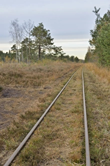 Tracks of a narrow-gauge peat railway, Tiste Bauernmoor, Landkreis Rotenburg, Lower Saxony, Germany Tracks of a narrow-gauge peat railway, Tiste Bauernmoor, Landkreis Rotenburg, Lower Saxony, Germany