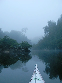 A tranquil morning on the Franklin River, Tasmania A tranquil morning on the Franklin River, Tasmania