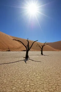 Deadvlei Desert Landscape Print