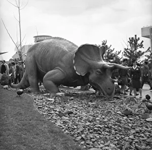 Triceratops model at jurassic park, (B&W) Triceratops model at jurassic park, (B&W)