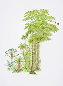 Tropical forest scene with monkeys swinging from hanging tree-roots and colourful parrots flying off branches Tropical forest scene with monkeys swinging from hanging tree-roots and colourful parrots flying off branches
