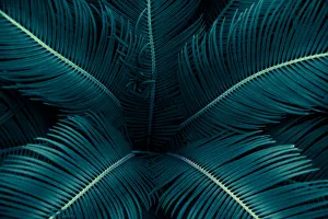 tropical leaves flower on dark tropical foliage nature background dark green foliage tropical leaves flower on dark tropical foliage nature background dark green foliage