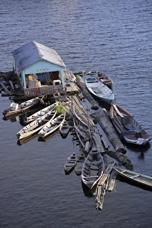 Typical floating house for the Amazon, Tefe, Amazonas Province, Brazil Typical floating house for the Amazon, Tefe, Amazonas Province, Brazil