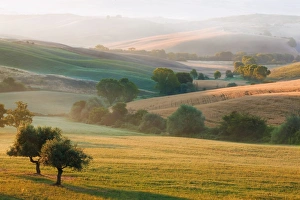 Typical Tuscan landscape near San Quirico dOrcia, Val dOrcia region, early morning mist, Tuscany, Italy, Europe Typical Tuscan landscape near San Quirico dOrcia, Val dOrcia region, early morning mist, Tuscany, Italy, Europe