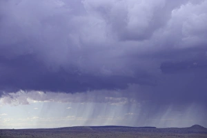 USA, Arizona, rainstorm and cumulonimbus clouds over desert, autumn USA, Arizona, rainstorm and cumulonimbus clouds over desert, autumn