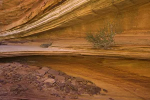 USA, Arizona, Vermilion Cliffs Wilderness, Navajo sandstone USA, Arizona, Vermilion Cliffs Wilderness, Navajo sandstone