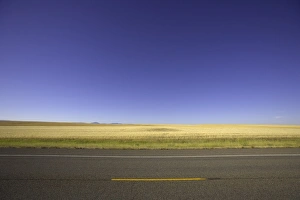 USA, Montana, wheatfield beside highway, summer USA, Montana, wheatfield beside highway, summer