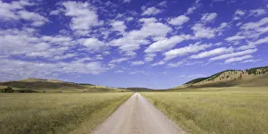 USA, South Dakota, Wind Cave National Park, dirt road across grassland USA, South Dakota, Wind Cave National Park, dirt road across grassland