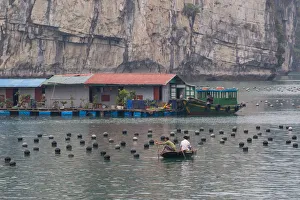 Vietnam Pearl Farm Vietnam Pearl Farm
