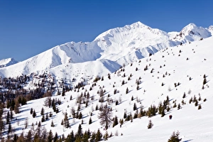 View during the descent from Terner Joechl above Terenten, Alta Pusteria Valley, Mt Eidechsspitz at back, South Tyrol View during the descent from Terner Joechl above Terenten, Alta Pusteria Valley, Mt Eidechsspitz at back, South Tyrol
