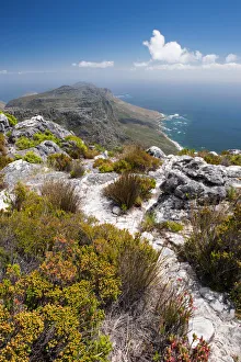 View from top of Table Mountain looking towards the Cape Peninsula showing Cape floral View from top of Table Mountain looking towards the Cape Peninsula showing Cape floral