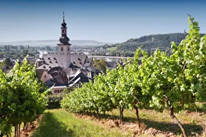 View through vineyard over Rudesheim am Rhein View through vineyard over Rudesheim am Rhein
