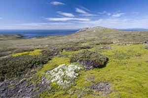 View of Westpoint Island, Westpoint Island, Falkland Islands, United Kingdom View of Westpoint Island, Westpoint Island, Falkland Islands, United Kingdom