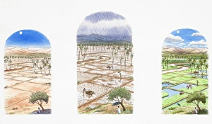 Three views of the same rice field in different weather conditions, during a draught, monsoon and after the rain Three views of the same rice field in different weather conditions, during a draught, monsoon and after the rain