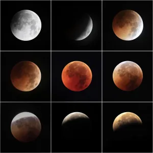 Total Lunar Eclipse Black Print: A Celestial Visual Treasure