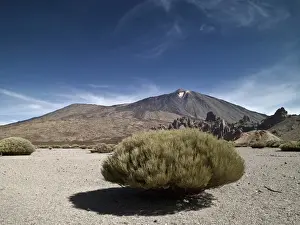 Tenerife Volcano Landscape Prints: Volcano