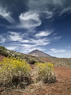 El Teide National Park Prints: Volcano in spring