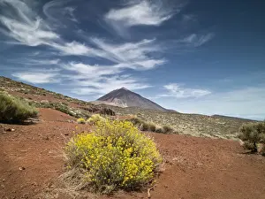 Tenerife Volcano Landscape Prints: Volcano in springtime