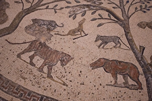 Volubilis Mosaic Volubilis Mosaic
