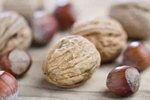 Studio Shot Of Nuts Prints: Walnuts and hazelnuts