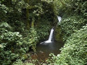 Waterfall in the Monteverde Cloud Forest Reserve, Reserva Biologica Bosque Nubosa Monteverde, Monteverde Waterfall in the Monteverde Cloud Forest Reserve, Reserva Biologica Bosque Nubosa Monteverde, Monteverde