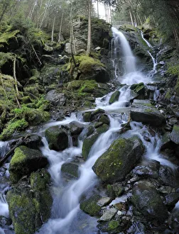 Waterfall, Themenweg Wildwasser white water learning path, Mariensee, Lower Austria, Austria, Europe Waterfall, Themenweg Wildwasser white water learning path, Mariensee, Lower Austria, Austria, Europe