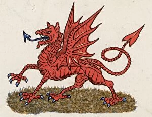 Images Dated 8th April 2016: Welsh Dragon