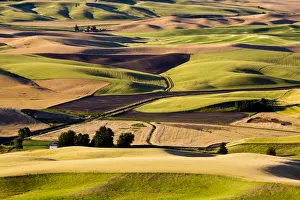 Wheat and pea fields on hills in Palouse region, Washington State, USA Wheat and pea fields on hills in Palouse region, Washington State, USA