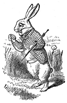 The white Rabbit checking his watch - Alice in Wonderland 1897 The white Rabbit checking his watch - Alice in Wonderland 1897