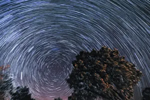 Windy Night with Star Trails, Magaliesburg, Gauteng Province, South Africa Windy Night with Star Trails, Magaliesburg, Gauteng Province, South Africa