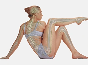 Woman sitting on the floor supported by a hand, one leg resting up on her other knee Woman sitting on the floor supported by a hand, one leg resting up on her other knee