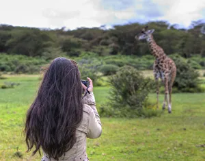 Woman taking picture of a Masai giraffe (Giraffa camelopardalis tippelskirchi) Woman taking picture of a Masai giraffe (Giraffa camelopardalis tippelskirchi)