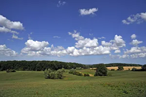 Woodland and grassland with cloudy sky, Othenstorf, Mecklenburg-Western Pomerania, Germany Woodland and grassland with cloudy sky, Othenstorf, Mecklenburg-Western Pomerania, Germany