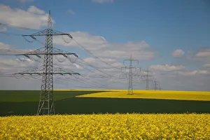 Yellow fields with power towers, Dusseldorf, Nordrhein-Westfalen, Germany Yellow fields with power towers, Dusseldorf, Nordrhein-Westfalen, Germany