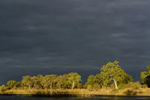 Zambezi River view. Victoria Falls. Zambia Zambezi River view. Victoria Falls. Zambia