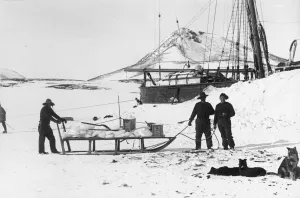 A cargo of ice for fresh water A cargo of ice for fresh water