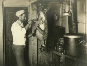 Imperial trans antarctic expedition 1914 17/cook skinning penguin Imperial trans antarctic expedition 1914 17/cook skinning penguin