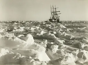 Endurance fast in the sea of ice Endurance fast in the sea of ice