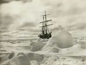 Antarctic Expedition Prints: Print of Endurance ship waiting for pack ice to break