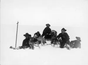 Sledge journey towards Mount Terror Sledge journey towards Mount Terror