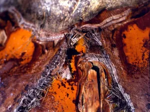 Framed Print : Abstract Print Framed Print : Abstract Print